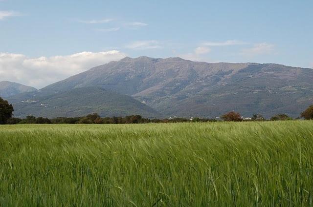 Turo De L'Home Santa Maria de Palautordera Luaran gambar